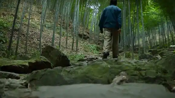 july bambu's bamboo forest resources 01