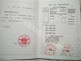 julybamu® forest ownership certificate 1