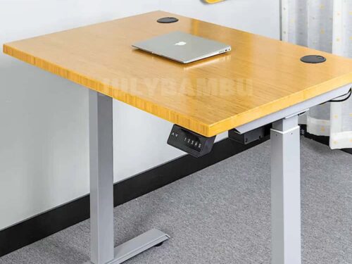 Bamboo Tabletop Electric Height Adjustable Standing Desk