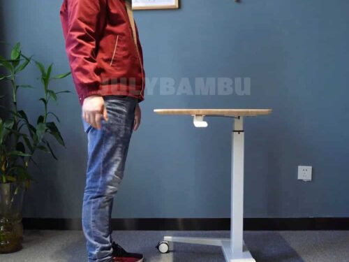 Bamboo Student Table Desk Standing Desk