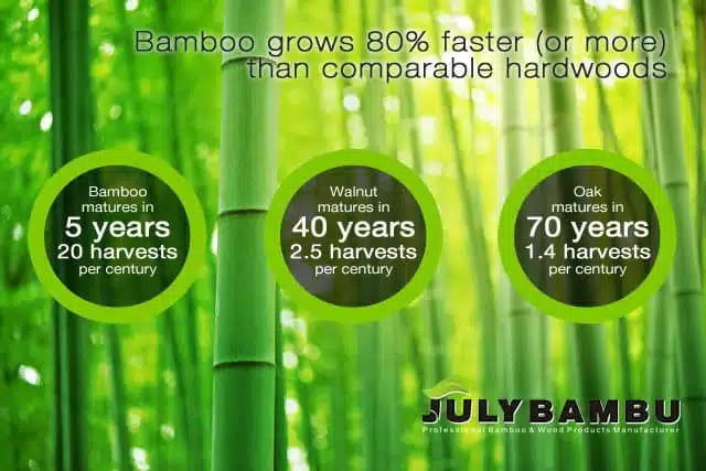 lowers carbon emissions bamboo’s rapid growth and high carbon sequestration capacity make it a powerful tool in combating climate change.