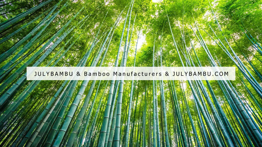 julybambu company's bamboo forest resources